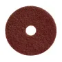 PADS CAFE 17"LUSTER Abrillantadora y Pads