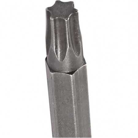 Punta Torx (S2) T25 x 25mm