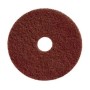 Pad Café 20" Luster Aseo Industrial