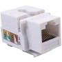 MODULO RJ-45 CAT6 BLANCO
