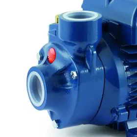 Bomba de Agua Periférica Pedrollo PKm 60 0,5 HP 220V Bomba de Agua Periferica