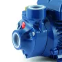 Bomba de Agua Periférica Pedrollo PKm 60 0,5 HP 220V Bomba de Agua Periferica